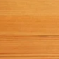 Douglas Fir